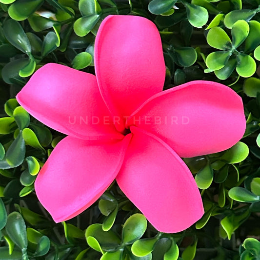 Frangipani Flower Sei